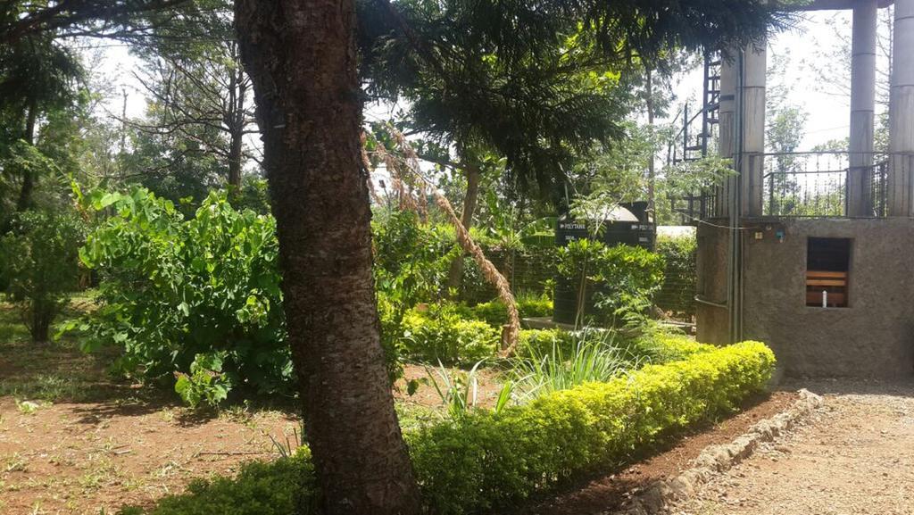 Mama Simba Bed And Breakfast Moshi Exterior photo