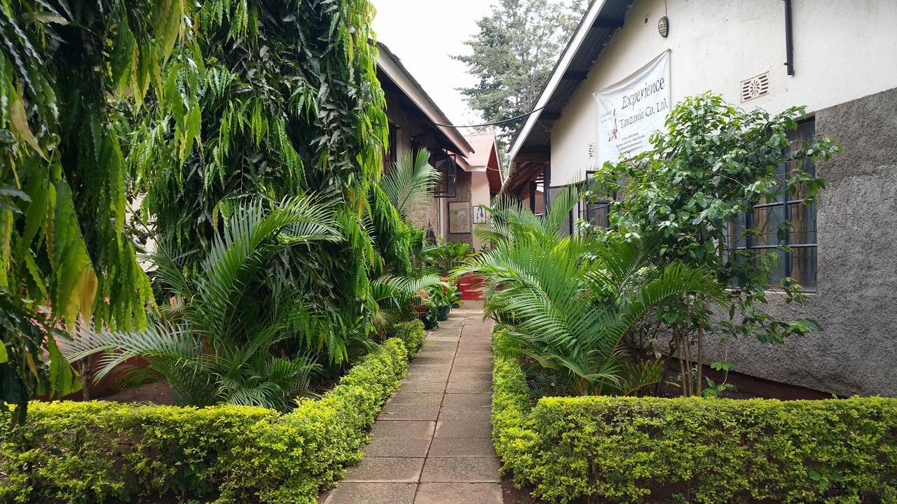 Mama Simba Bed And Breakfast Moshi Exterior photo